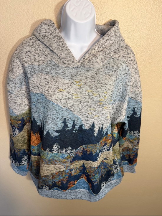 MISSLOOK Tops - MISSLOOK Gray Multi Scenic Hooded Pullover Sweatshirt